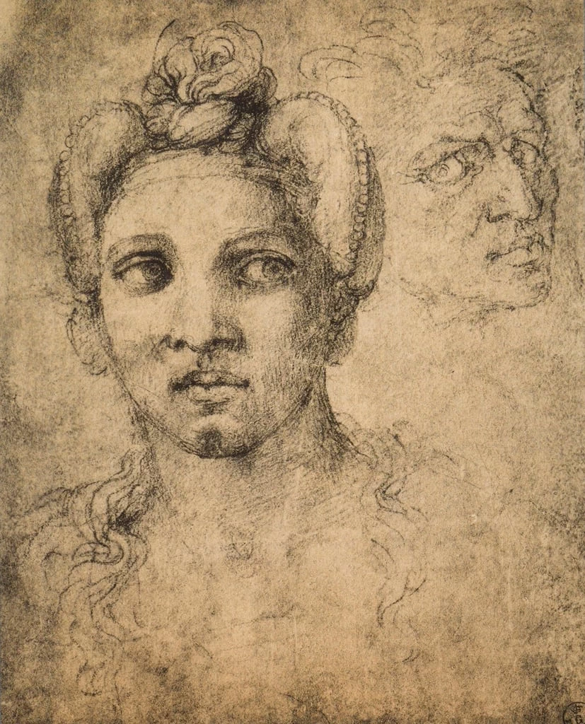 Testa di donna - Gabinetto dei Disegni e Stampe, Galleria Degli Uffizi, Firenze